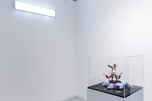 <a href='/art-galleries/lisson-gallery/' target='_blank'>Lisson Gallery</a> at FIAC Paris 2015 Photo: © Charles Roussel & Ocula